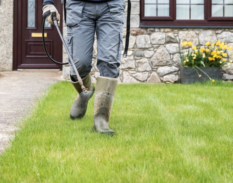 When to Hire a Professional